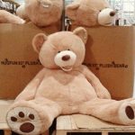 20220106095340_d41d8cd98f00b204e9800998ecf8427ejpg