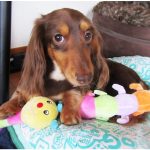 20220120093345_d41d8cd98f00b204e9800998ecf8427ejpg