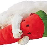 20220718105842_51mvTTbJcOL_AC_SX450_jpg