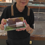 20220911095827_Screenshot_20220907-082514png