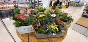 20200418101157_20200416_084749jpg