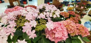 20200421102701_20200416_084740jpg