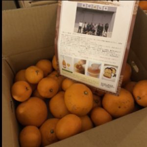 20201214105202_IMG_0079jpg