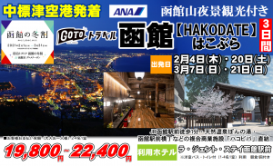 20201231124205_nh_hakobura_bnpng