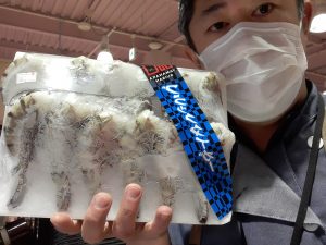 20210109110703_20210110_075847jpg