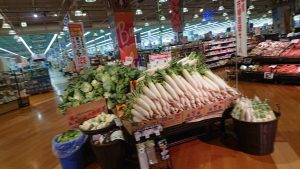 20210423114202_DSC_0166JPG