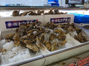 20210428110353_PXL_20210428_225924571jpg