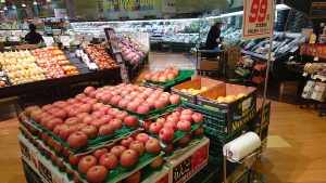 20210429113224_DSC_0211JPG