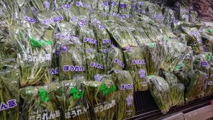 20210502121707_DSC_0226JPG