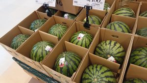 20210513113706_DSC_0263JPG