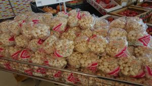 20210516110203_DSC_0206JPG