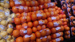 20210520113220_DSC_0230JPG