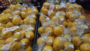 20210522105215_DSC_0251JPG