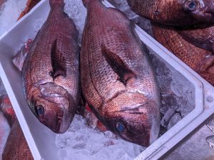 20210528105213_PXL_20210514_234511190jpg