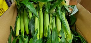 20210603100715_20210603_115356jpg