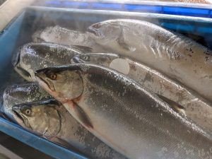 20210604110226_PXL_20210604_225415936jpg