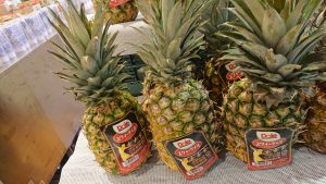 20210609113203_DSC_0318JPG