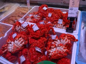 20210610113202_PXL_20210610_232709094MPjpg