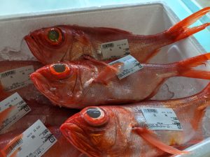 20210613110213_PXL_20210613_225658385jpg