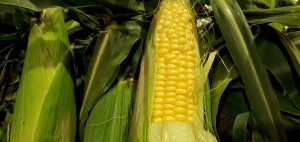 20210615110212_20210616_075256jpg