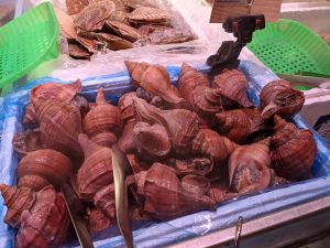 20210621114702_PXL_20210621_234030598jpg