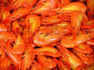 20210624111811_images_3jpeg