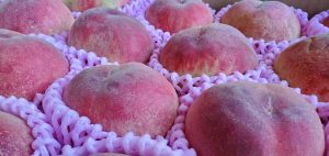 20210625105202_20210626_074314jpg