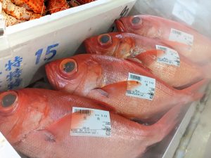 20210625110202_PXL_20210617_231821900jpg