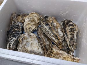 20210627114214_PXL_20210615_023830031jpg