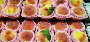 20210707110211_20210708_075545jpg