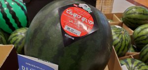 20210710113255_20210711_082637jpg