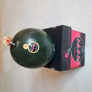 20210715110212_21-07-16-07-55-02-996_photojpg