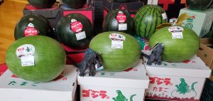 20210718112310_20210719_081512jpg