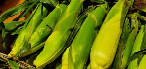 20210727110712_20210724_075224jpg