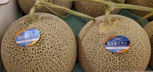 20210729110231_20210730_075530jpg