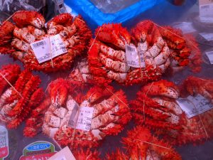 20210813114823_PXL_20210813_233822814jpg