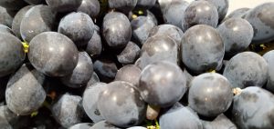 20210816111741_20210817_080851jpg