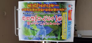 20210817092704_20210818_061722jpg