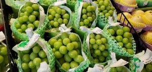 20210819120207_20210819_082421jpg