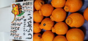 20210906101802_20210906_101937jpg