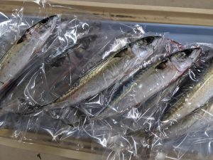 20210907110242_PXL_20210907_225529206jpg