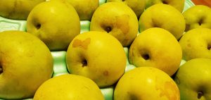 20210908110717_20210908_190846jpg