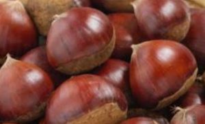 20210910095716_Screenshot_20210911-064905_Googlejpg