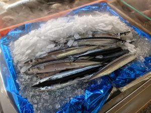 20210911110720_PXL_20210904_225518421jpg