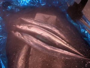 20210916111821_PXL_20210831_013242688jpg