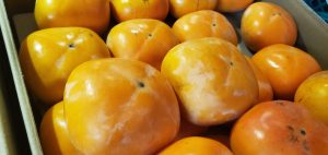 20210919013706_20210919_080921jpg