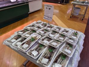 20210919114721_PXL_20210912_233531997jpg