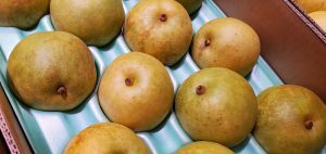 20210921114734_20210922_083939jpg