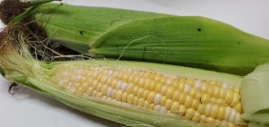 20210922102722_20210922_113704jpg