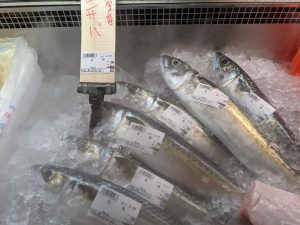 20210922110237_PXL_20210922_225433540jpg